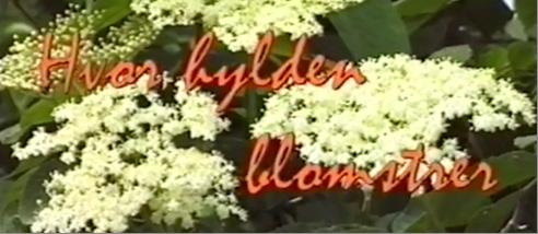 Hvor Hylden blomstrer en film om Hyldespjædet Teknologien for ca. 20 år siden For godt 20 år siden lavede vi en film om Hyldespjældet.