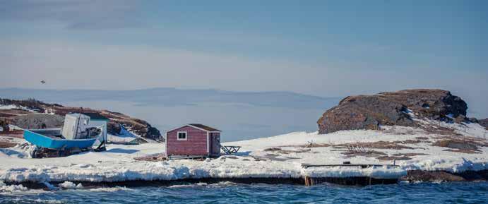 En betydelig del af den langsigtede værdimaksimering af Royal Greenlands kernearter baserer sig på viden og indsigt opnået gennem deltagelse i forsknings- og udviklingsprojekter sammen med