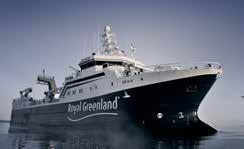 ÅRSRAPPORT 84 85 ROYAL GREENLANDS FLÅDE - UDENSKÆRS Royal Greenlands udenskærs flåde består af tre havgående rejetrawlere, to udenskærs produktionstrawlere til hellefisk, torsk mm.