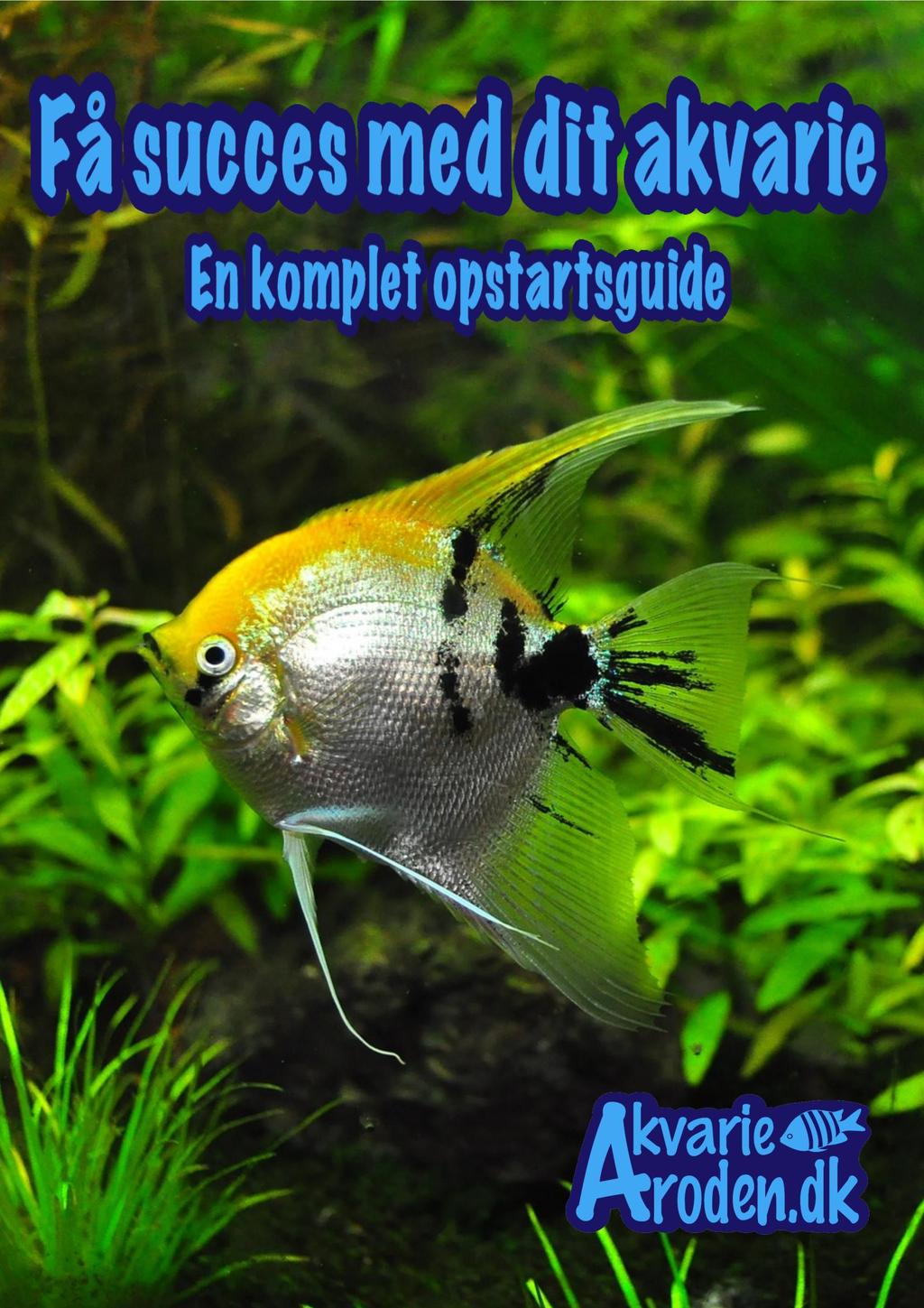 Få succes med dit akvarie - PDF Free Download
