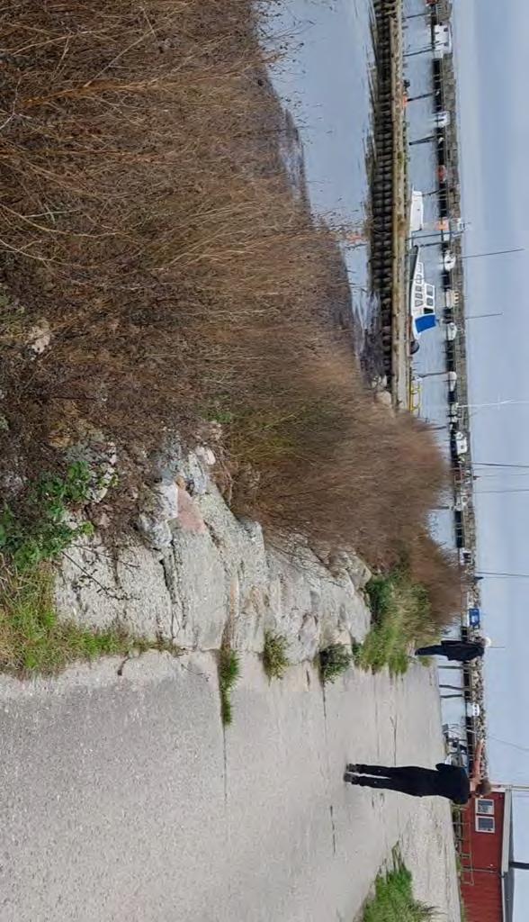 skaber erosion på læsiden. Ved stormflod vil vandet løbe op gennem Lund Gade. Bøgeskov Havn og Lund Havn er private, drevet af lokale foreninger.