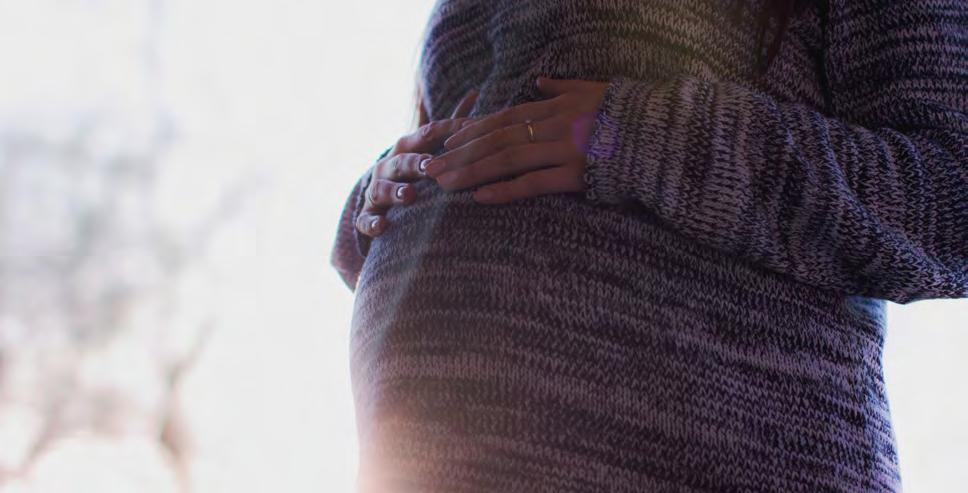NYT FRA CENTER FOR RUSMIDDELFORSKNING Fra gravidi