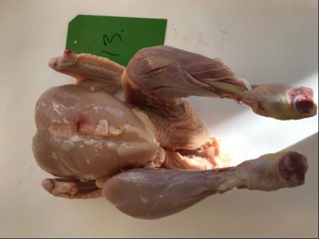 Eksempel på kylling før og efter skalfrysning samt efter 1 døgns køleopbevaring.