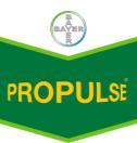 Propulse Højeste udbytte for ramularia behandling i vårbyg 0,5 l Propulse 95 % Ramularia i ubehandlet 0,5 l Propulse + 0,3 l Comet Pro 0,2 l Comet Pro + 0,35 l Proline Xpert Netto