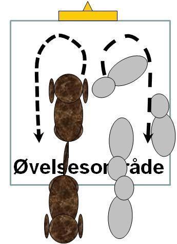 Det primære i øvelsen: Foran skiltet ændrer teamet retning 180 rundt mod venstre, så hunden bytter side fra venstre til højre eller omvendt.
