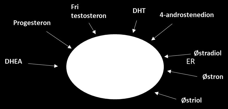11 4.2. Prostata og prostatacancer, PCa Prostata hedder på dansk blærehalskirtel og har form og størrelse som en lille kastanje. Den vejer ca. 25 gram.