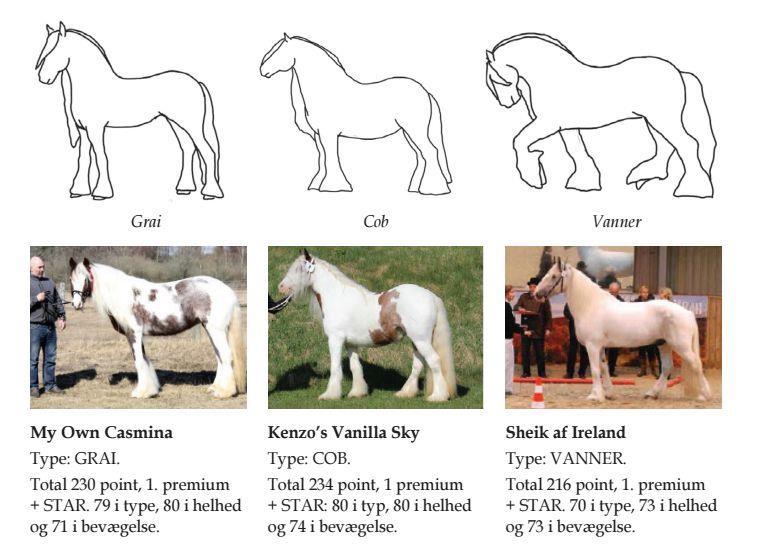 Typepræsentation Siden DTF indgik samarbejde omkring kåringerne med NSvT i efteråret 2011, har vi bedømt hestene i tre typer; Vanner, Grai og Cob.