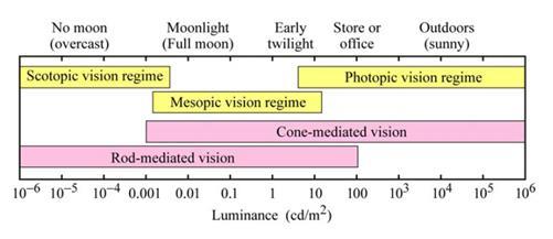 3.3 Fotometri Dag og Nat Syn Der er tre typer af syn: Photopic Mennesker farvede syn under normale dagslysforhold (> 3 cd / m2). Øjenkeglerne er aktive. De er ansvarlige for farveopfattelse.