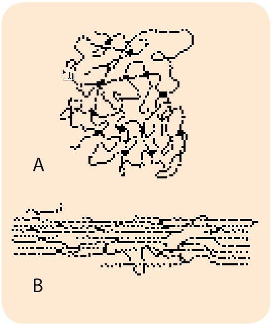 Spredt tværbundne kædemolekyler Her ses spredt tværbundne kædemolekyler i elastomer i hvile (A) og udstrakt (B). Selvom illustrationen er grynet illustreres udstrækningen af kæderne.