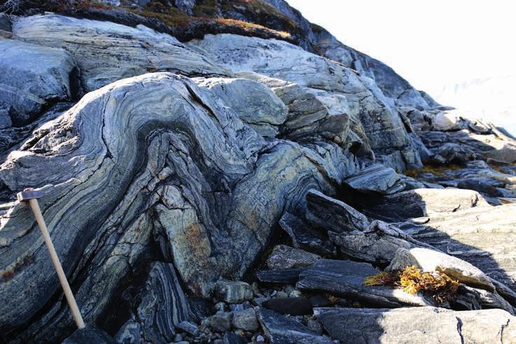 Mineraler og bjergarter i Grønland Gnejs (metamorf) Gnejs er én af de almindeligste bjergarter på jordens overflade, specielt i Grønland, hvor størstedelen af grundfjeldet er gnejs.