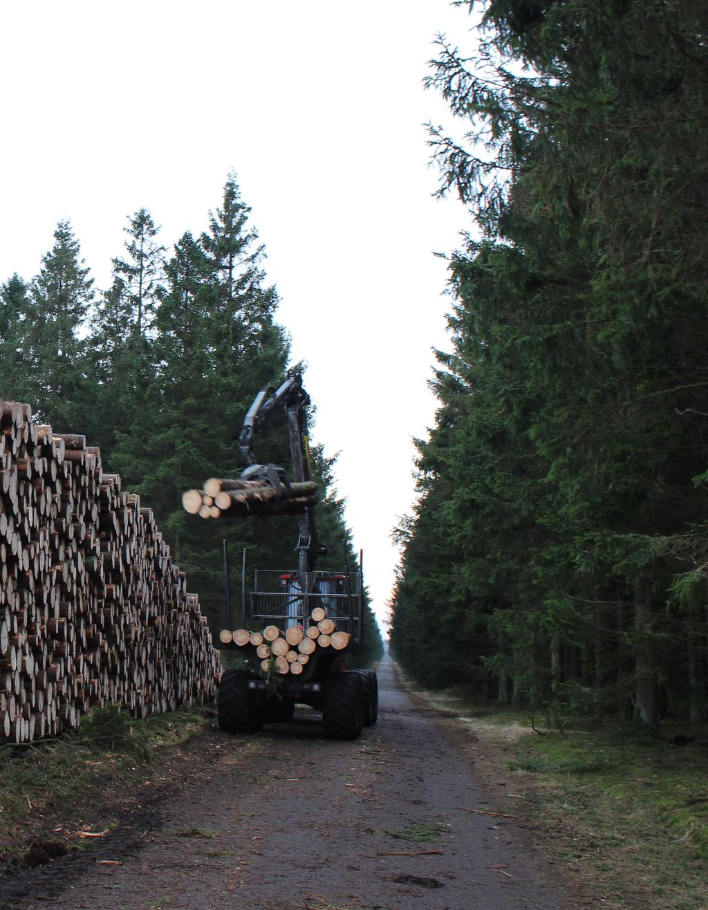 Foreningens drift Skovdyrkerforeningen Nord-Østjylland (SNØ) har gennemlevet et turbulent år.
