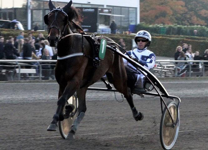 Express Bork Morten Friis Tot: 14 1-1-6 63.200 God stabil hest, der løber med i alle tempi. Svært startspor.