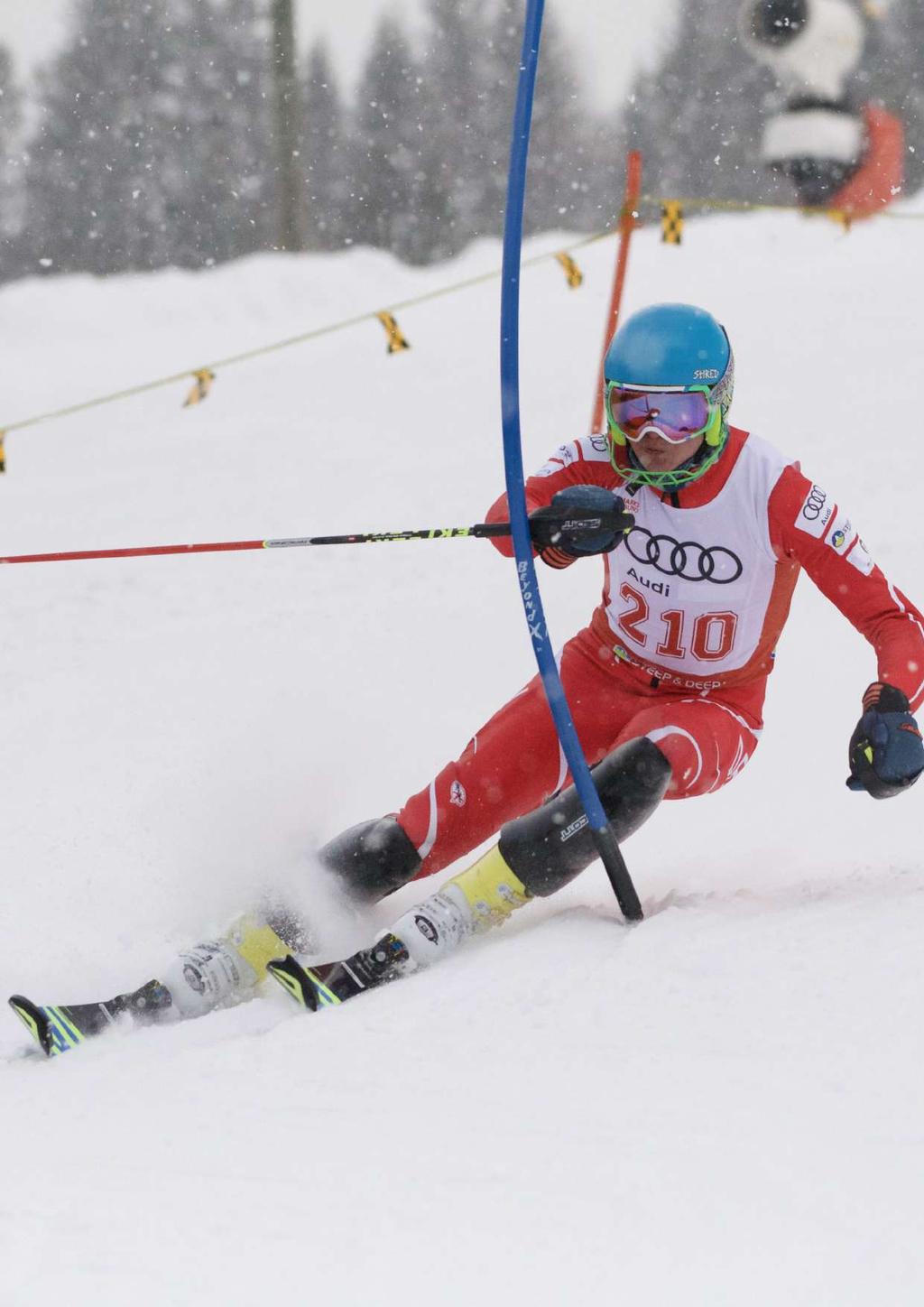 VildandensDK... - for skiers by skiers VildandensDK startede med at sælge konkurrenceskiudstyr til dedikerede klub- og landsholdsløbere i 2017.