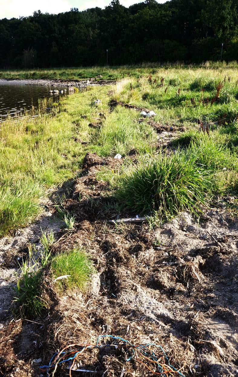 Vi fandt pellets både i søer og i græs tæt ved seks ud af syv virksomheder, hvoraf flere ellers er med i den frivillige ordning Operation Clean Sweep, hvor de forpligter sig til en ekstra indsats for