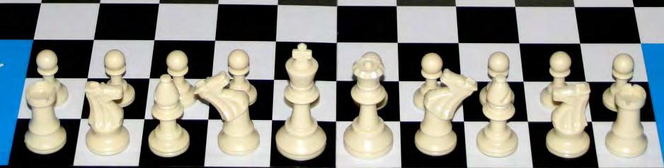 Spillet begynder Brikkerne for hvid opstilles som vist på figur 2.