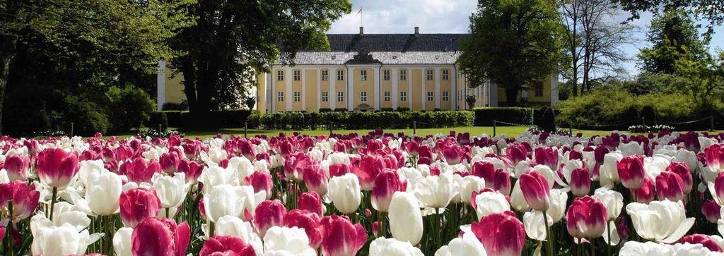 Tur nr. VS19-18 Gavnø Blomsterpark Mandag d. 13. maj kl. 10.00 16.30 Vi kører sydpå og lander ved Gavnø Slot, hvor vi håber, at tulipanerne står i fuldt flor.