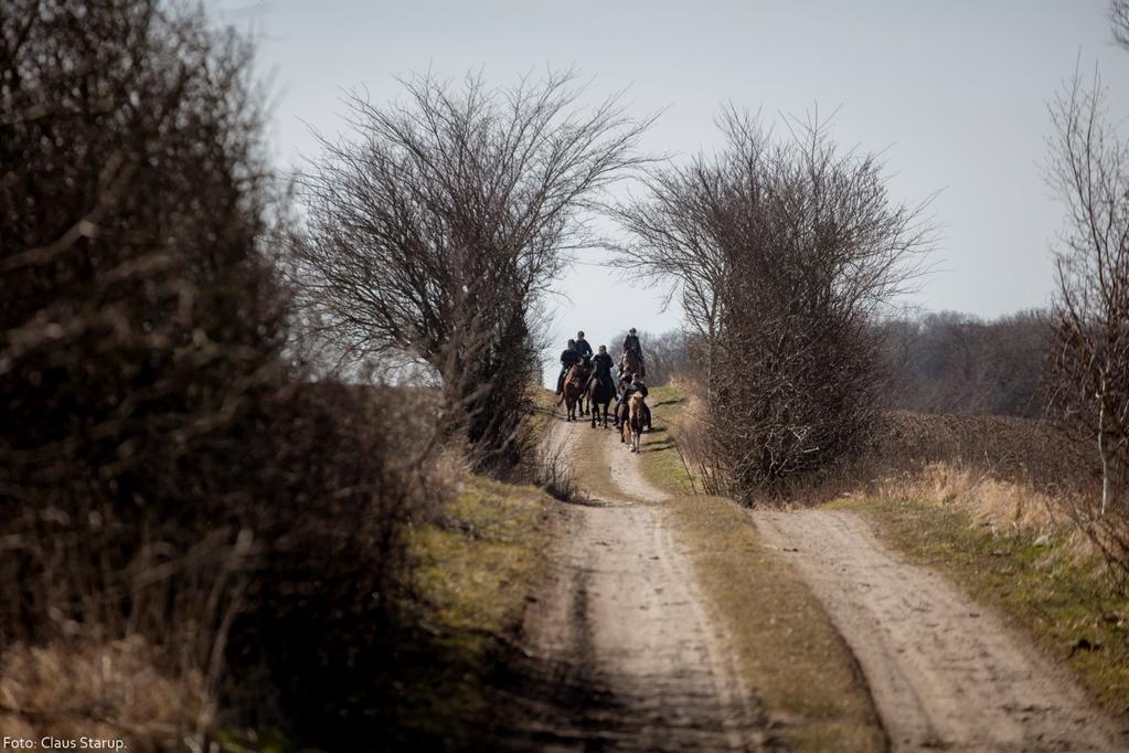 Hesteturisme i Odsherred Kommune som parameter for bedre rideadgang, bosætning, nicheerhverv og landdistriktsudvikling -