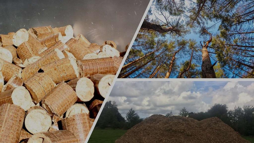 z Statusrapport for Bæredygtig Biomasse for Haderslev Fjernvarme A.m.b.A. Rapporteringsperiode 01-01-2018 31-12-2018 Kontakt i virksomheden René Eskildsen Tlf.