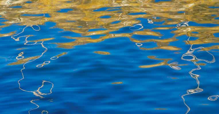 Supplerende bestandsundersøgelser af blåmuslinger, ålegræs og makroalger på lavt vand i Lovns og Løgstør Bredning i 2009 DTU Aqua-rapport nr.