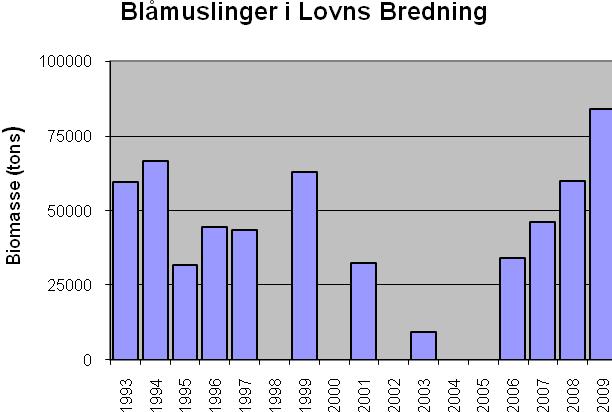 Bestanden på >3 m dybde i Løgstør Bredning er i 2009 høj sammenlignet med DTU Aquas årlige bestandsvurderinger i perioden 1993 2009 (Kristensen & Hoffmann 2003)(Figur 5 og