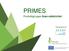 PRIMES. Produktgruppe Grøn elektricitet. Præsenteret af