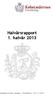 Halvårsrapport 1. halvår 2013