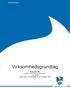 R A P P O R T. Virksomhedsgrundlag