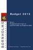 Budget 2013. Bind 2: Budgetbemærkninger for politikområder og budgetområder