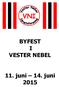 VNI BYFEST I VESTER NEBEL