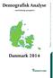 Demografisk Analyse. - med kirkeligt perspektiv!