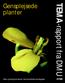 Gensplejsede planter. TEMA-rapport fra DMU