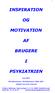 INSPIRATION MOTIVATION BRUGERE PSYKIATRIEN
