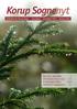 Korup Sognenyt. Kirkeblad for Korup Sogn november december 2011 januar 2012