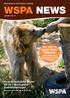 WSPA NEWS. Syv bjørne nyder livet i Balkasar Læs mere om bjørnereservatet i Pakistan