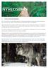 nyhedsbrev Naturportalen nr. 2 - september 2014 1. Er der ulv I Favrskov Kommune?