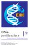 DNAprofilanalyse. European Initiative for Biotechnology Education UNIT