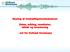 Styring af beskæftigelsesindsatsen. Viden, måling, resultater, effekt og investering. - set fra Holbæk Kommune