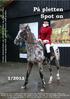 Gratis internetavis om plettede heste og ponyer/free internet magazine with spotted horses and ponies