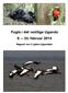 Fugle i det vestlige Uganda 9. 24. februar 2014. Rapport om 11 jyders Ugandatur