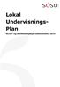 Lokal Undervisnings- Plan. Social- og sundhedshjælperuddannelsen, 2013