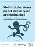 Mobilitetsbarrierer på det dansk-tyske arbejdsmarked