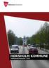 handlingsplan. Foruden de to planer er der gennemført en omfattende kortlægning og analyse, som er beskrevet i en baggrundsrapport.