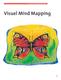 VISUEL MIND MAPPING. Visuel Mind Mapping