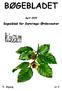 BØGEBLADET April 2009 Sogneblad for Gyrstinge-Ørslevvester 5. årgang nr.2