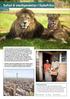 Safari & storbyeventyr i Sydafrika