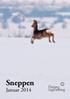 Sneppen. Januar 2014. Herning Jagtforening