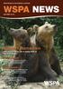 WSPA NEWS. Bjørne i Rumænien. Turistsæson. Gadehunde. Læs om Loti Dinka, der er daglig leder af bjørnereservatet.