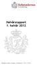 Halvårsrapport 1. halvår 2012