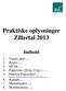 Praktiske oplysninger Zillertal 2013