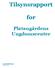 Tilsynsrapport. for. Platangårdens Ungdomscenter